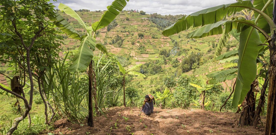 La degradación de tierras socava el bienestar de 3200 millones de