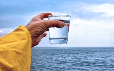 Desalinización en Chile: ¿Solución o amenaza para el medio ambiente marino?